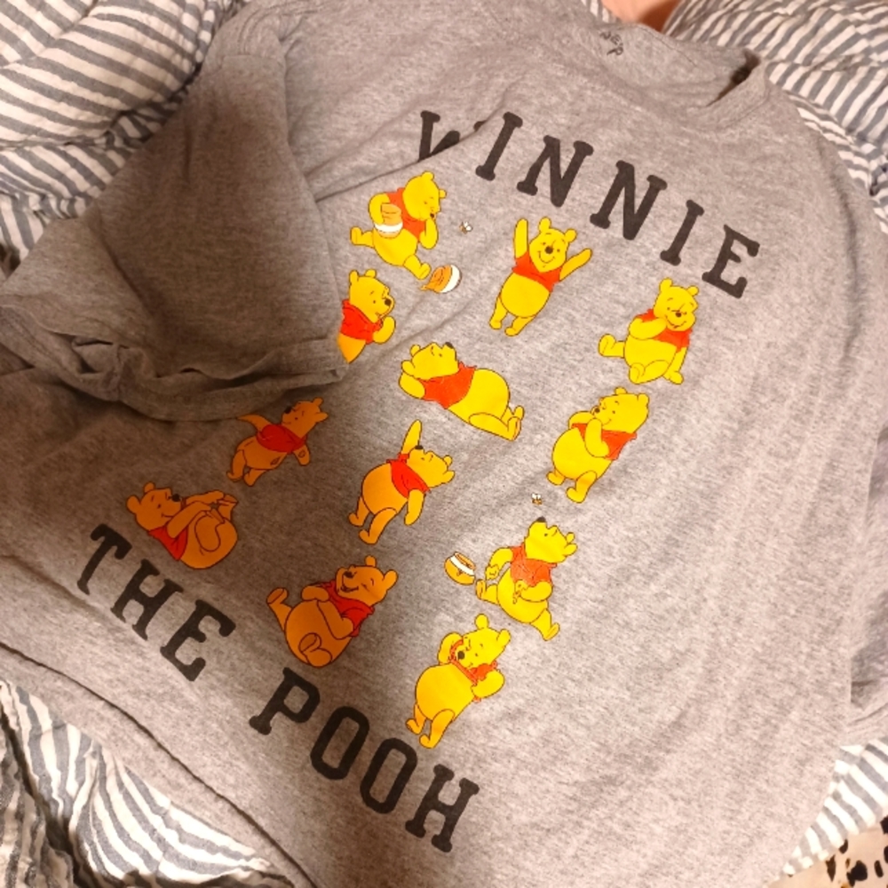 Crop disney top